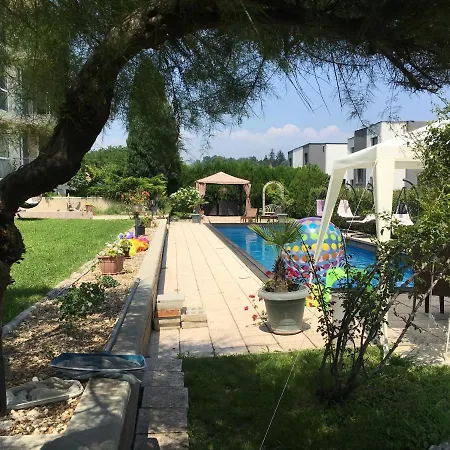 сий дрийм под наем *