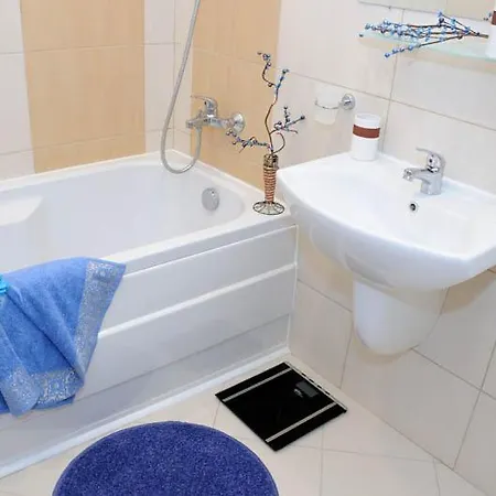 сий дрийм под наем Варна