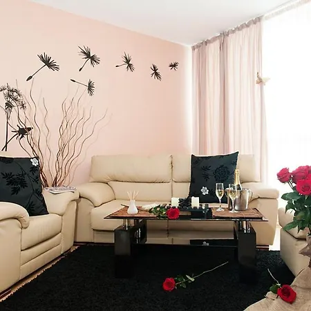 сий дрийм под наем * Варна